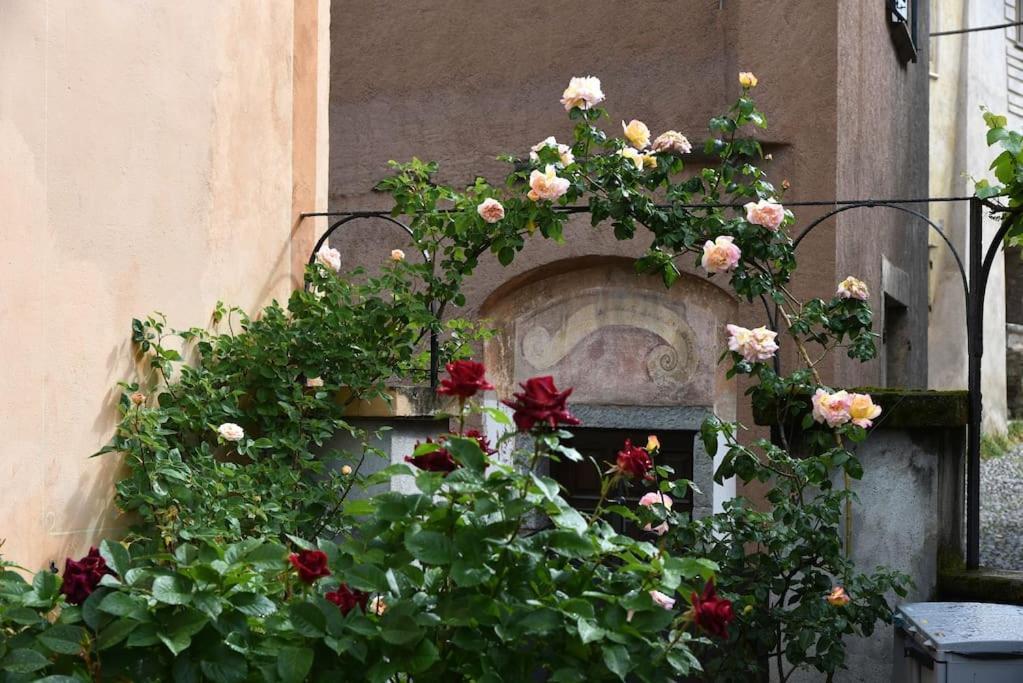 Villa Il Drago Al Roseto Del Drago à San Bernardo  Extérieur photo