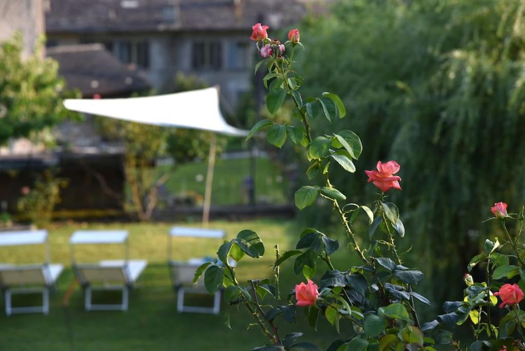 Villa Il Drago Al Roseto Del Drago à San Bernardo  Extérieur photo